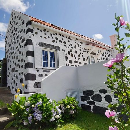 Vivenda Flores - Casa Hortensia Lomba  Exteriér fotografie